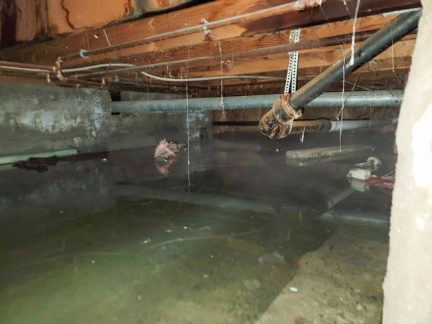 Best Sewage cleanup and water damage restoration  in Narberth, PA