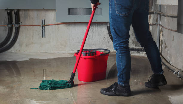 Best Water damage cleanup near me  in Narberth, PA