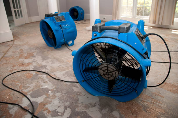 Best 24-hour water damage restoration  in Narberth, PA