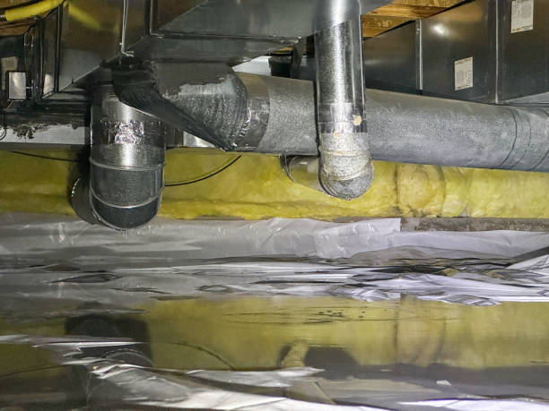 Best Mold removal after water damage  in Narberth, PA