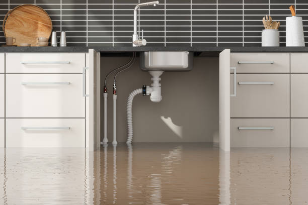 Best Mold removal after water damage  in Narberth, PA
