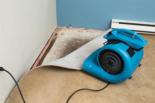 Best Fire Damage Restoration  in Narberth, PA